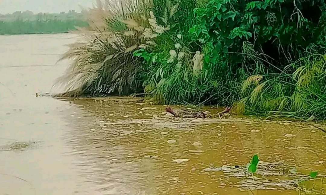 गडहिया स्थित वागमती नदीमे आदमीके शव फेला