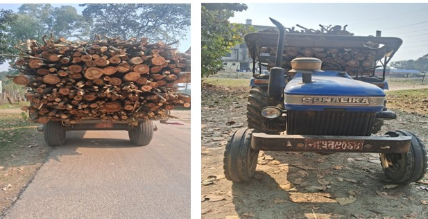 चोरीतस्करीके कारण रौतहटके वन क्षेत्र दिनप्रति दिन उजाड बनइत हए जारहल