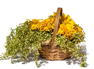 बज्जिकांचलके प्रमुख देवीदेवता डा.व्रजनन्दन वर्मा