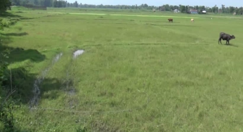 ऐलानी जमिनके विषयसे समाज होरहल हए तरंगित